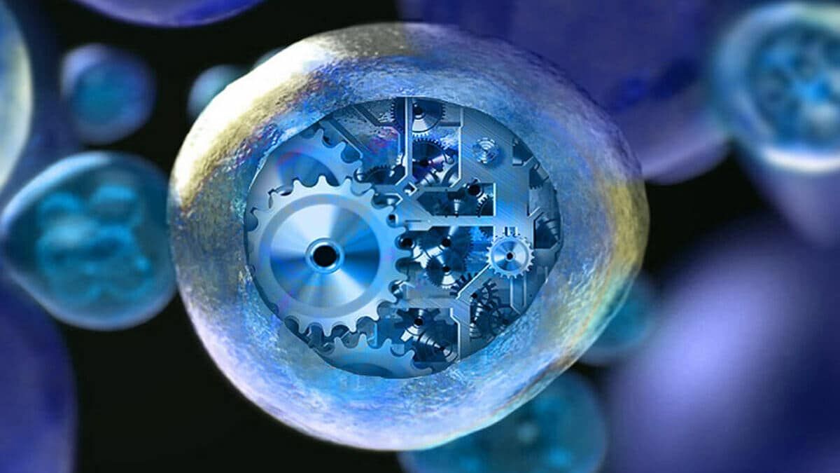 Sentetik Biyoloji Nedir?