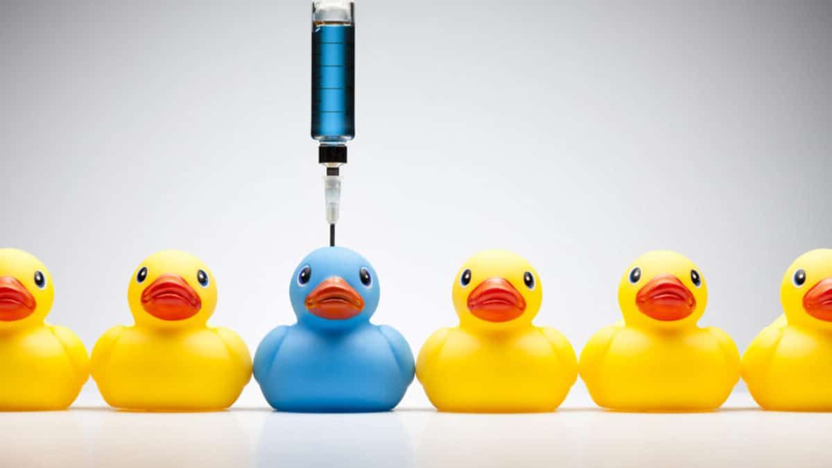 Teknoloji Hayvan Deneylerini Bitirebilir mi?