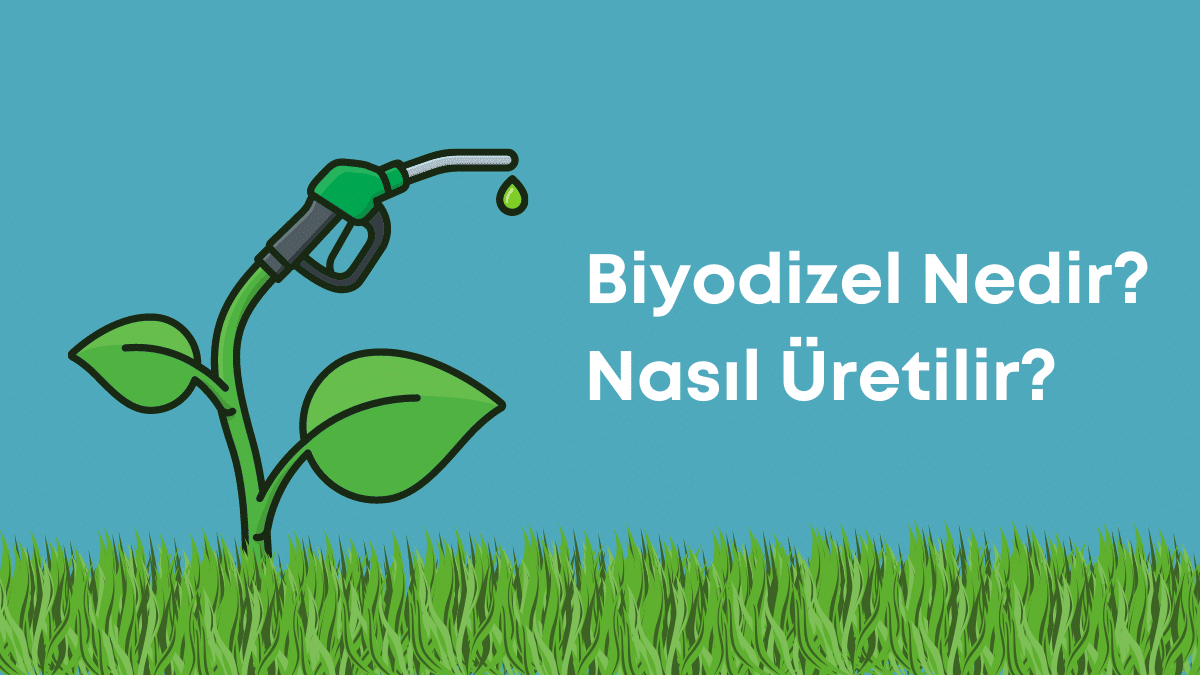 Biyodizel nedir?