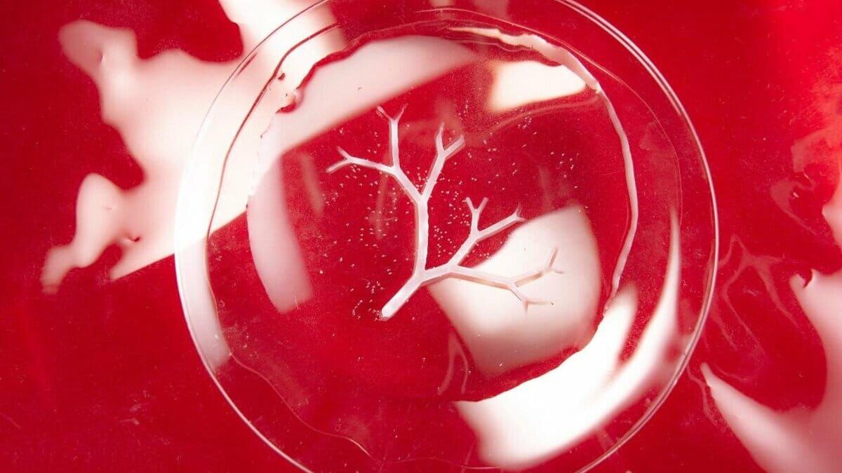 Bakterilerden Üç Boyutlu Nesneler Üretmek