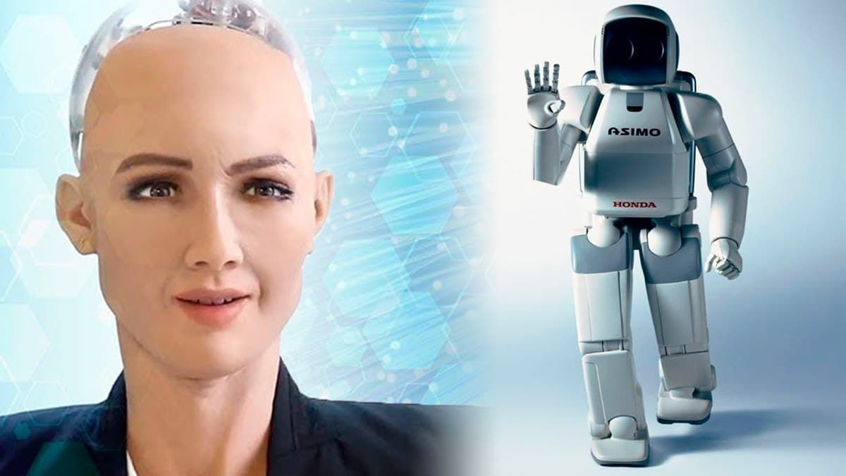 İnsansı Robot Nedir?