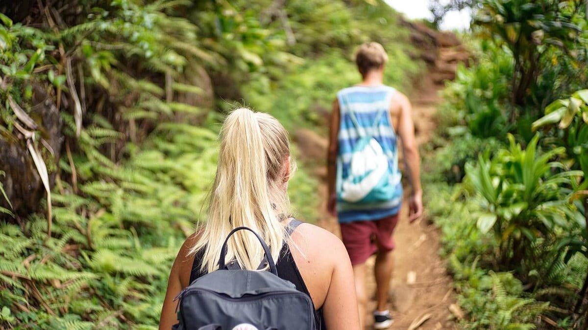 Çevre Dostu Seyahat