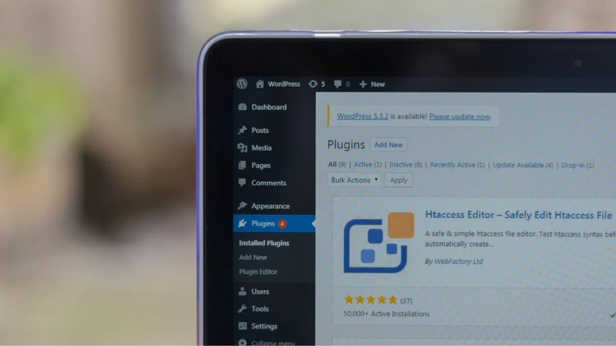 WordPress 18 Yaşında