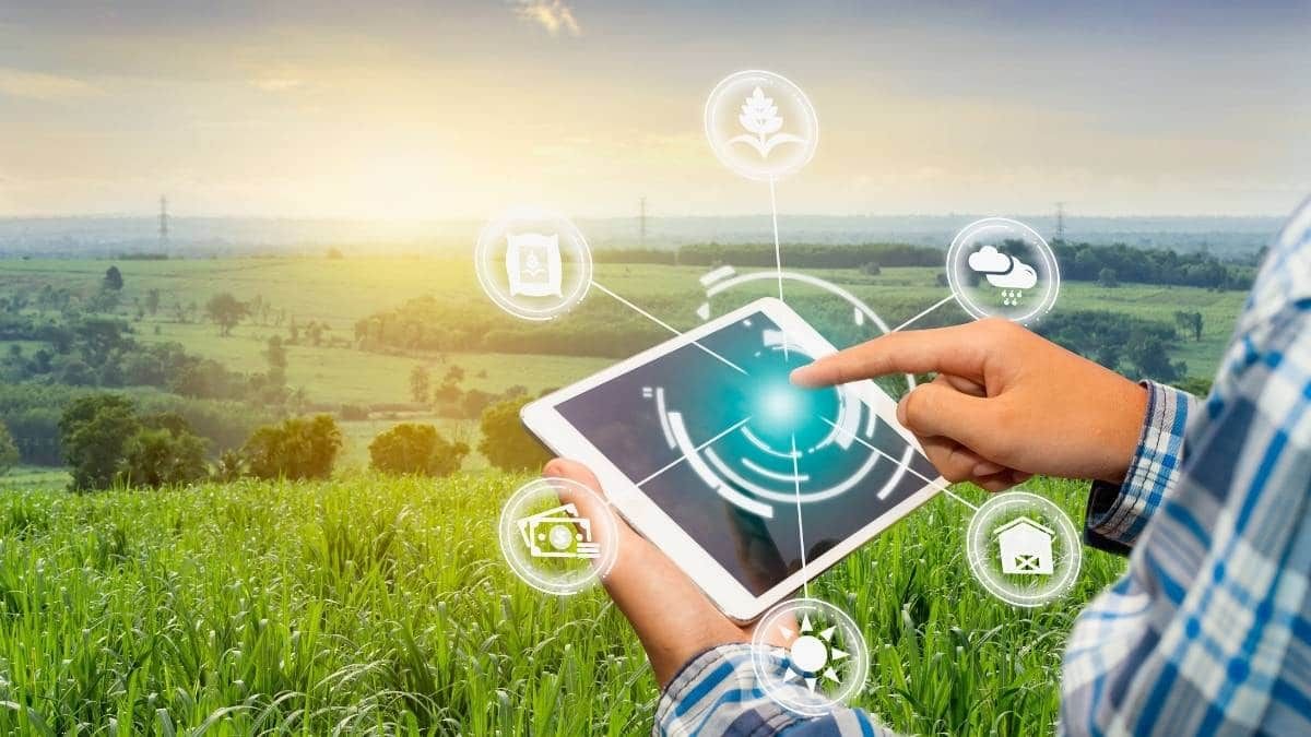 Yönetim Bilişim Sistemleri Nedir