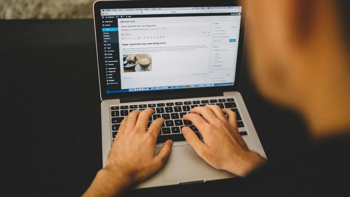en iyi wordpress temaları