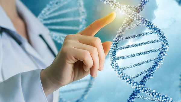 Genetik falcılık nedir