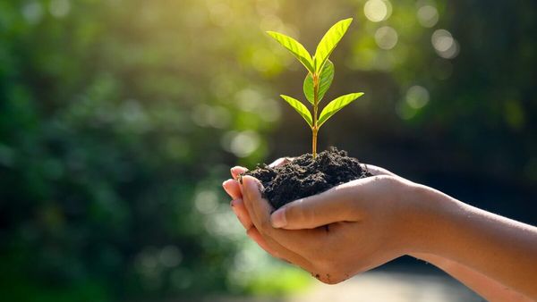 Çevreci Uygulamalar