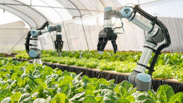 yapay-zeka-destekli-araclar-robot-ciftciliginde