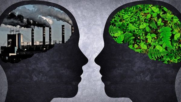 teknolojinin ekosisteme etkileri