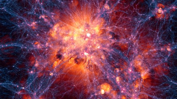 Evren Sinir Ağlarından mı Oluşuyor