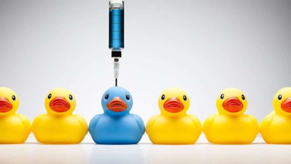 Teknoloji Hayvan Deneylerini Bitirebilir mi?