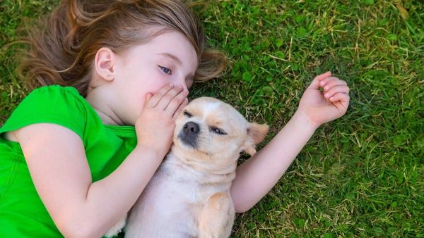 Hayvanlarla İletişim Kurmak