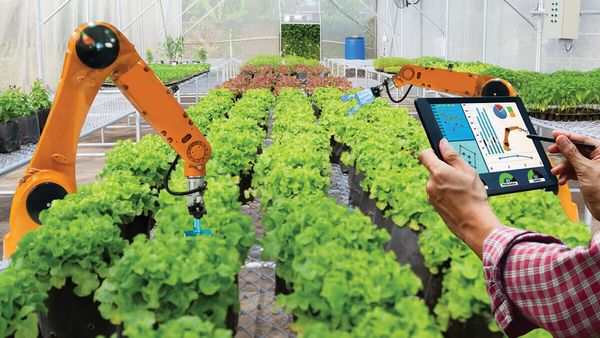 Teknoloji Tarımda Nasıl Kullanılır?