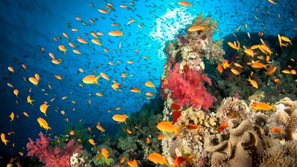 Okyanus Keşiflerinde Teknoloji