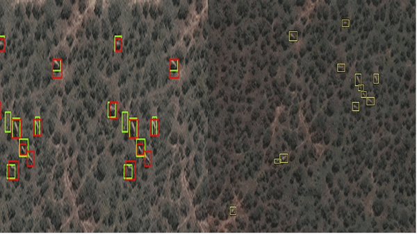 Uydu Görüntüleme Tekniği: Uzaydan Fil Saymak
