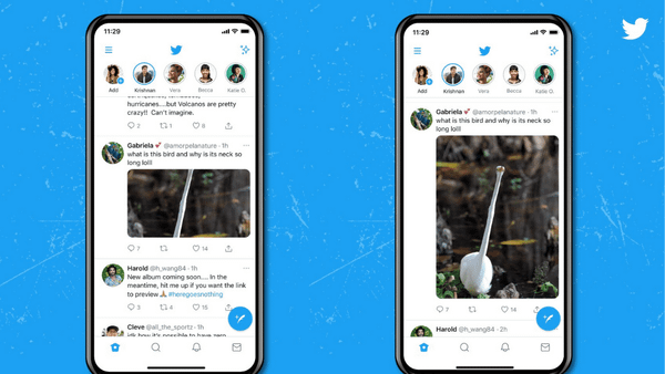 Twitter Yeni Özelliği Resimlerin Kırpılmasını Engelliyor