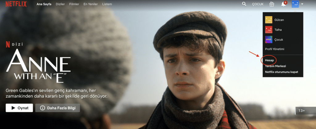 Netflix hesap görünümü