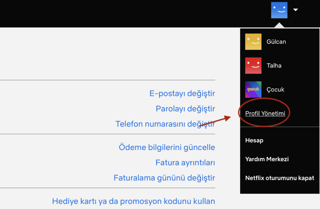 Profil yönetimi seçeceği