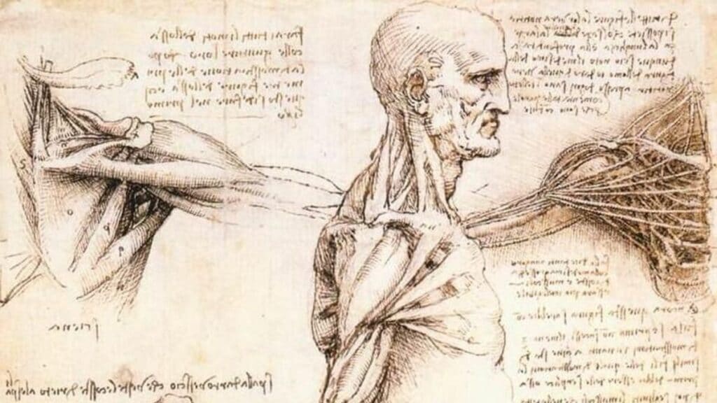 Leonardo Da Vinci'nin Buluşları anatomi