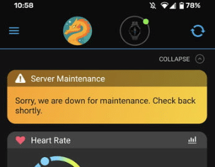 garmin siber saldırı