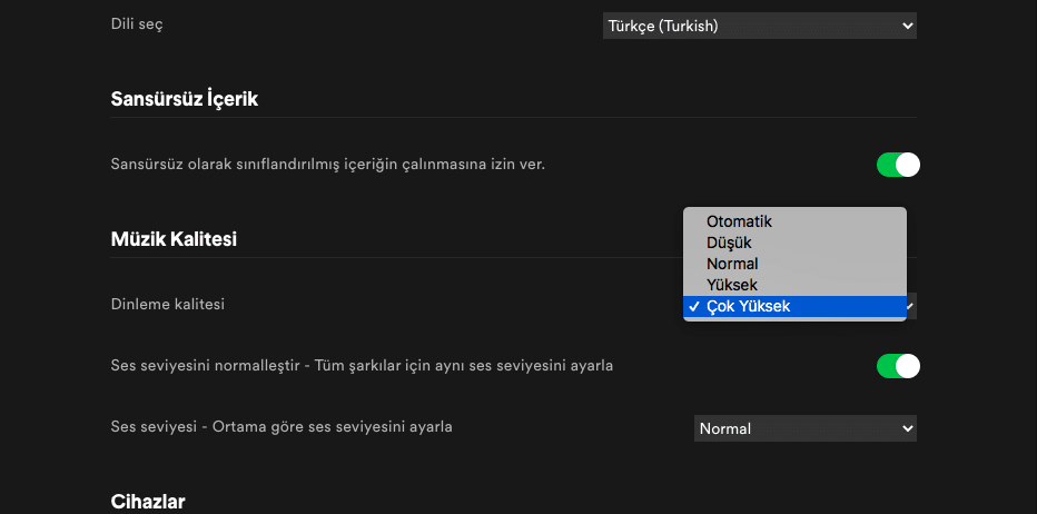şarkı kalitesini arttırmak için spotify sekmesi