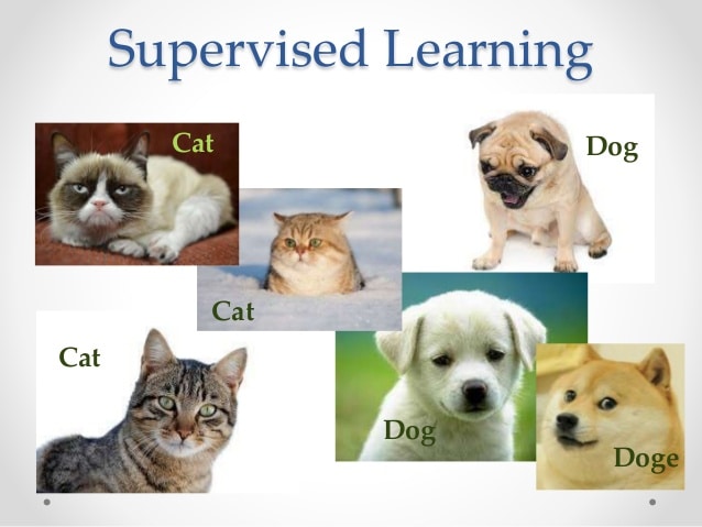 makine-öğrenmesi-konsepti-etiketler