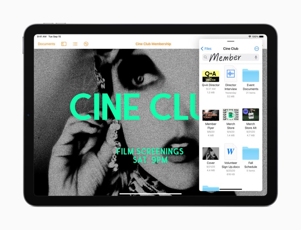 apple-ipad-air-arama-time-flies