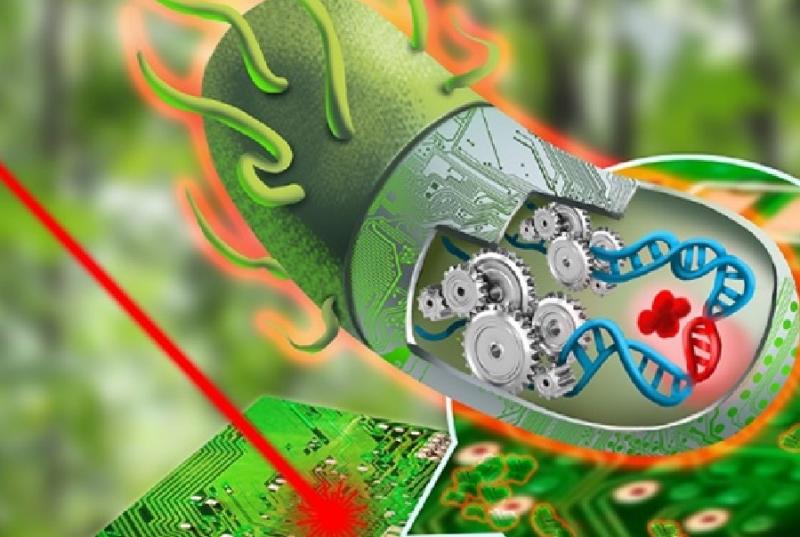 Sentetik Biyoloji Temsili