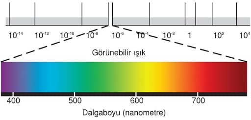 Işıkların Dalga Boylarına Göre Sıralandığı Elektromanyetik Spektrum.