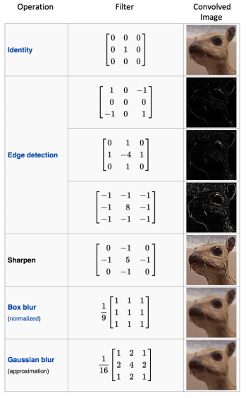 cnn-filters