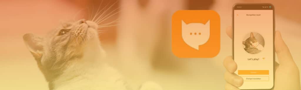 MeowTalk