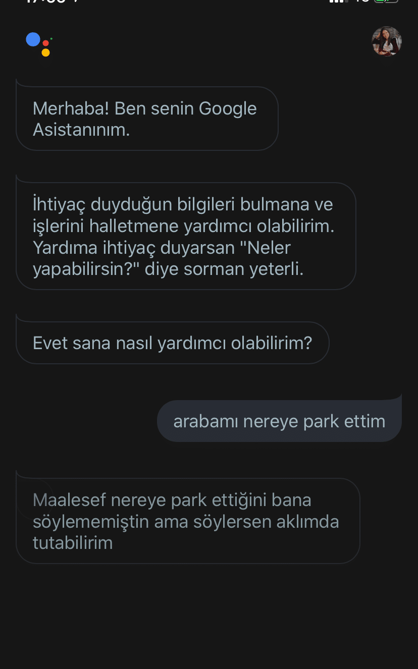 google-park-asistanı