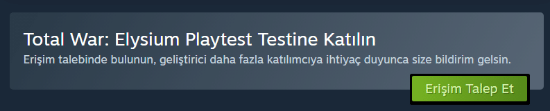 steam-playtest-ornek
