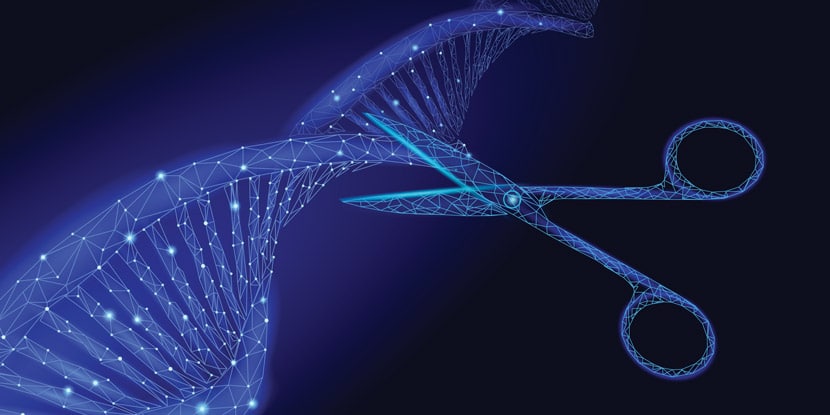 CRISPR Nasıl Çalışır?