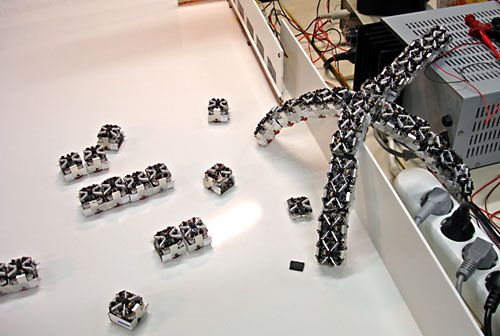 Sürü Robotiği Davranışları