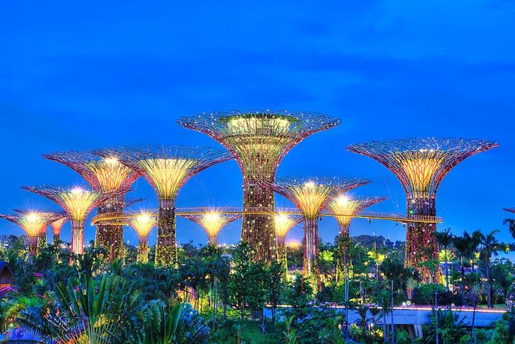 Singapur'daki güneş ağaçları.