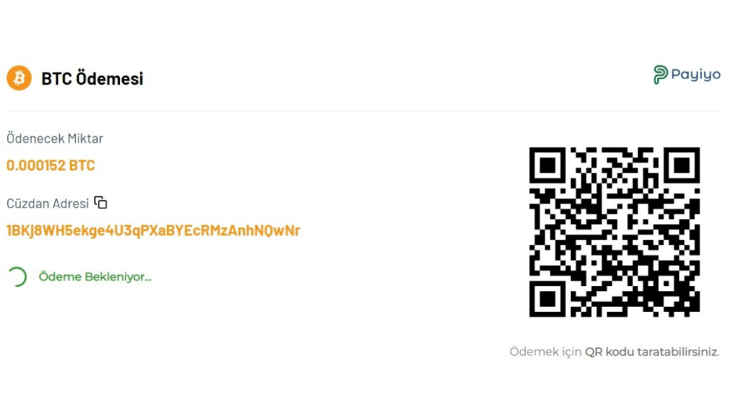 Payiyo bitcoin ödemesi