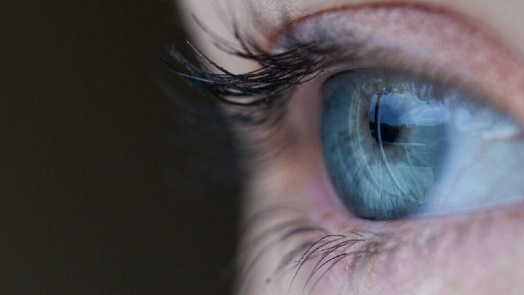 Biyonik Göz Teknolojisi Nedir?