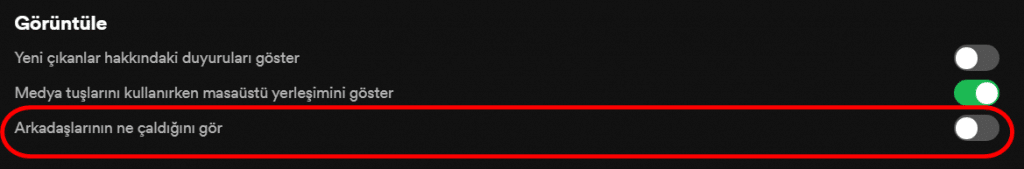 Spotify Arkadaş Aktivitesi Nasıl Kapatılır 2