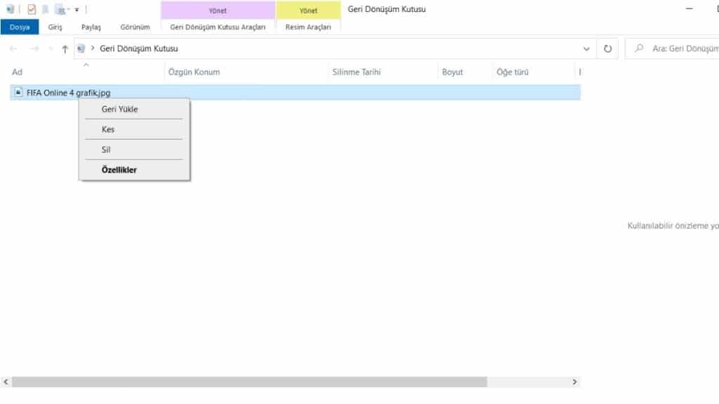 geri-donusum-kutusundan-fotograf-kurtarma