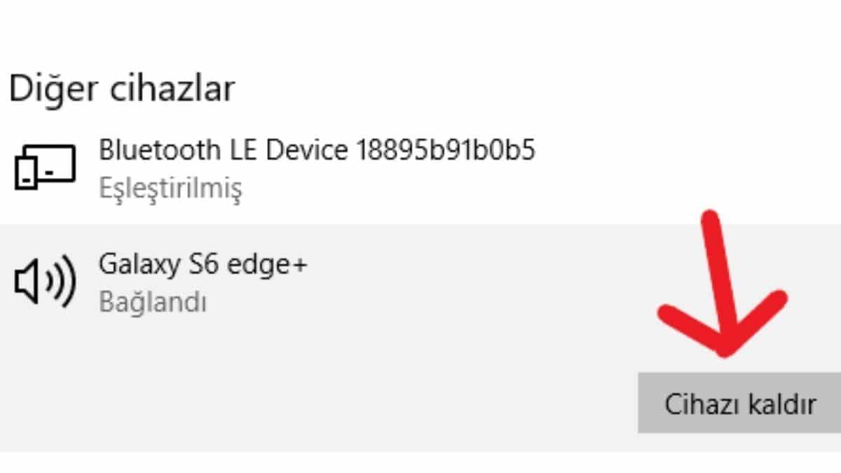 Listedeki Cihazı Kaldırma