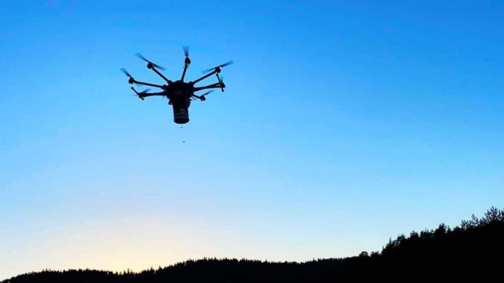 sosyal girişimcilik