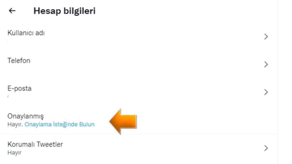 Bilgisayar Üzerinden Mavi Tik Alma İşlemi - 2