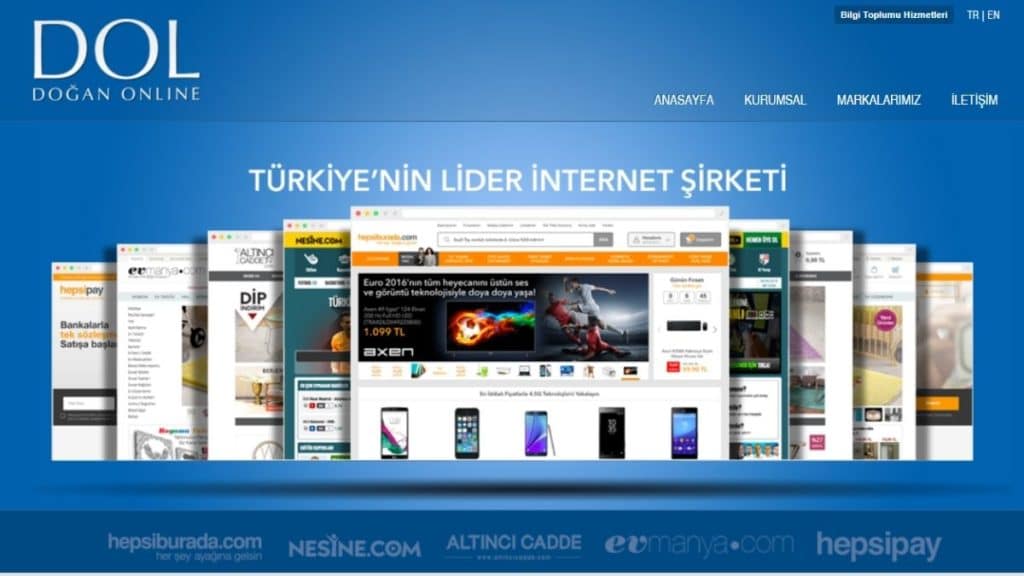 Hanzade Doğan'ın Kariyeri