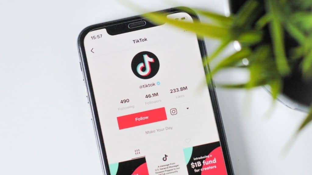 tiktok-hesap-dondurma