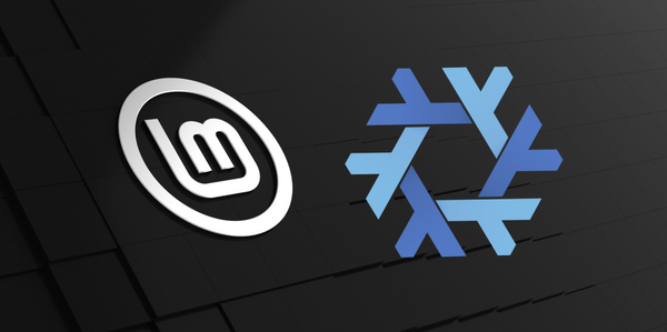 Using Nix on Linux Mint