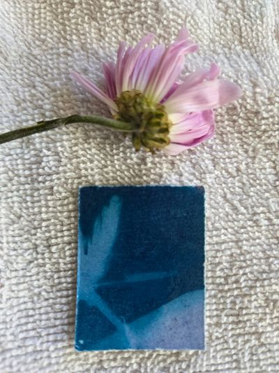 Cyano Print #1, 2026