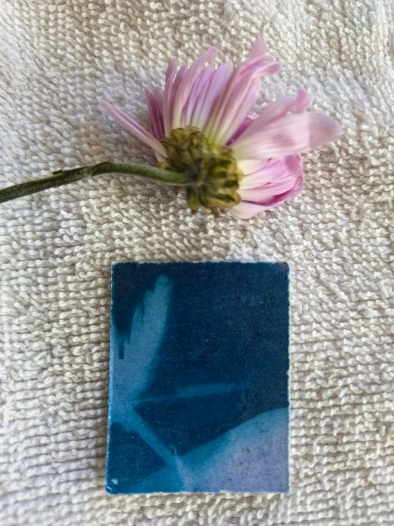 Cyano Print #1, 2026