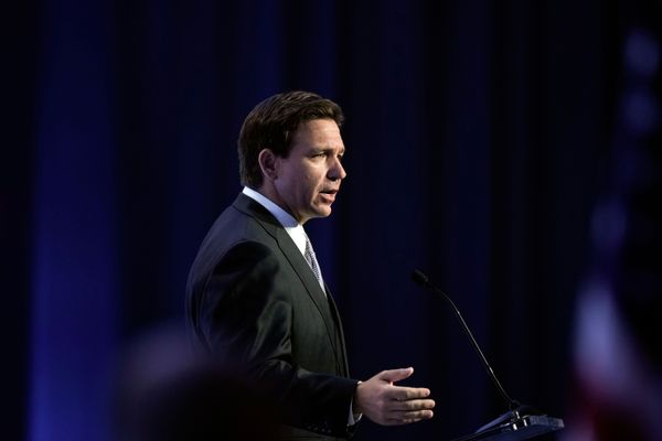 Ron DeSantis Is the GOP’s Liz Warren