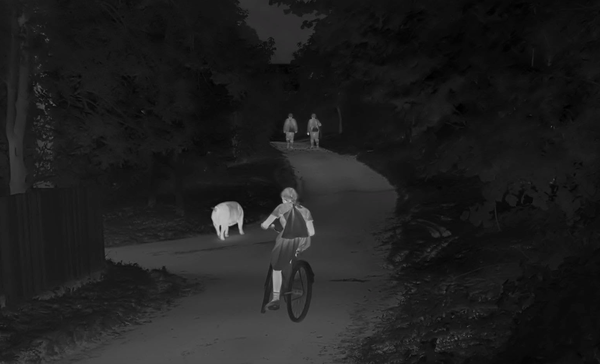 Poland’s Zone of Interest